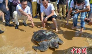 马六甲海峡到我国多少海里