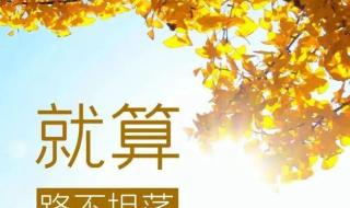 12月10号电子驾驶证为什么申请不了