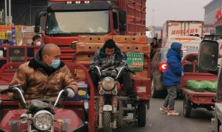 中国最大水果市场排名